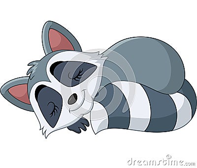 Cute raccoon sleeping Vector Illustration