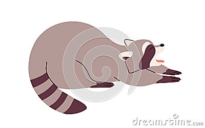 Cute raccoon stretching and yawning in funny pose. Adorable lazy sleepy relaxed racoon. Amusing careless sweet animal Vector Illustration