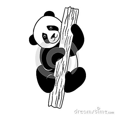 Cute realistic panda bear climbing tree. Vector monochrome illustration isolated on white. Vector Illustration