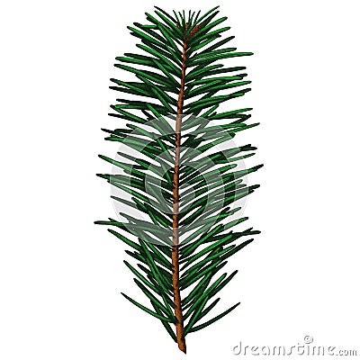 Cute realistic spruce branch with three small cones Stock Photo