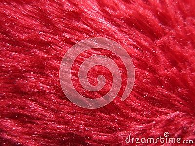 Cute red fur Stock Photo