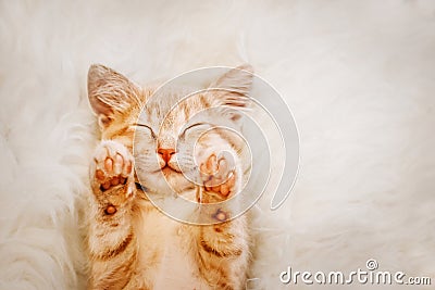 Cute, red kitten is sleeping on his back and smiling, paws up. Concept of sleep and good morning. Stock Photo