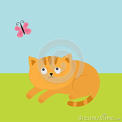 Cute red orange cat lying on grass and looking at flying pink butterfly. Mustache whisker. Funny cartoon character. Flat Vector Illustration