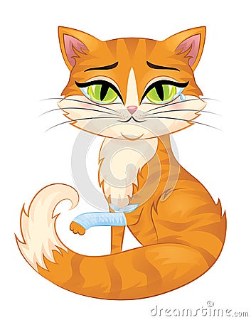 Cute redhead cat with green eyes isolated on white. Vector Illustration