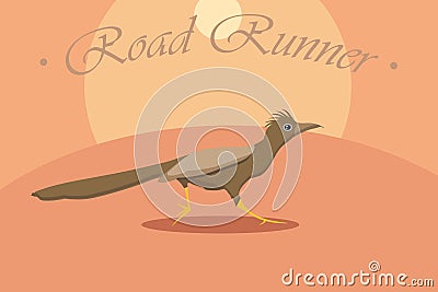 cute road runner cartoon vector Vector Illustration