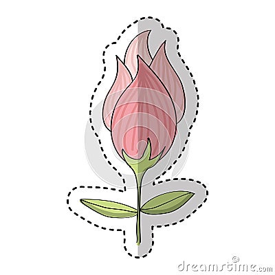 Cute rose drawing icon Vector Illustration