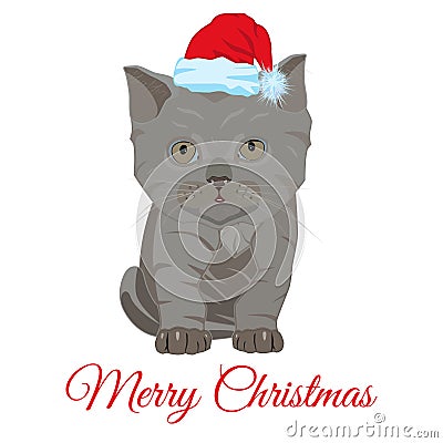 Cute sad little kitten in Santa hat vector flat illustration Vector Illustration