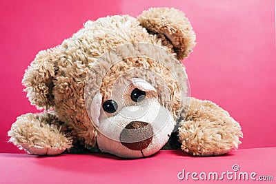Cute Sad lonely teddy bear on red background Stock Photo