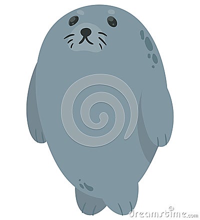 cute seal baby Vector Illustration