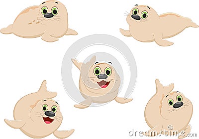 Cute seal cartoon collectiion Vector Illustration