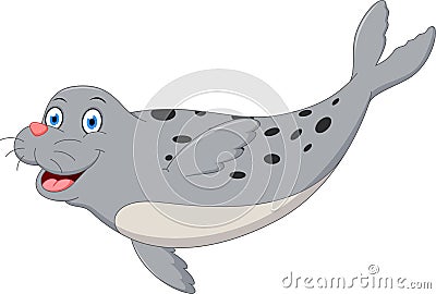 Cute seal cartoon Vector Illustration