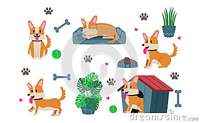 Cute set of cartoon animals Corgi dog puppy activity stickers flat illustration with ball, bone, footprint Vector Illustration