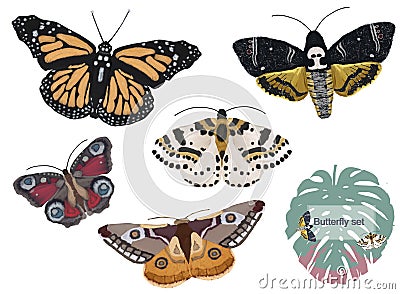 Cute set illustration of watercolor butterflies isolated on white background Cartoon Illustration