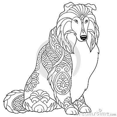 Shetland sheepdog sheltie dog coloring page Vector Illustration