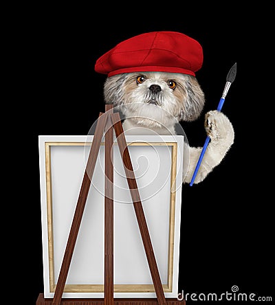Cute shitzu dog is a painter artist. Isolated on black Stock Photo