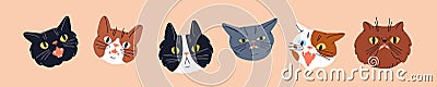 Cute shocked cats, feline heads set. Funny amazed surprised puzzled kitties looking, staring with astonished emotion Vector Illustration