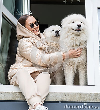 Cute shot of the two dogs breed samoyed sitting on the windowsill together with their beautiful adorable brunette owner. Stock Photo