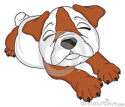 Cute sleeping bulldog Stock Photo