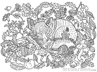 Cute sleeping fox among leaves, nuts, mushrooms, flowers and berries. Environment, nature, forest, meadow, plants. Anti Vector Illustration