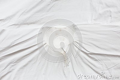 cute small dog hiding under bed cover, white sheets, partial bottom view. Home, indoors Stock Photo