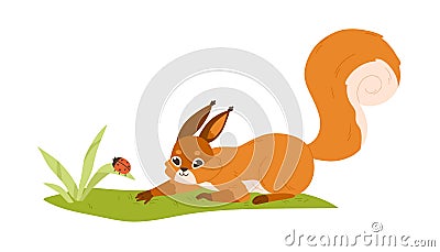 Cute small squirrel playing with ladybug in nature. Forest rodent with bushy tail hunting on bug. Happy adorable wild Vector Illustration