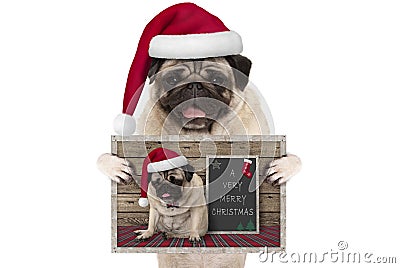 Cute smiling Christmas pug dog with santa hat, holding up greeting card with selfportrait Stock Photo