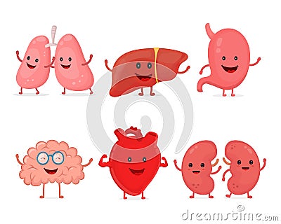 Cute smiling happy human healthy strong organs set. Vector Illustration