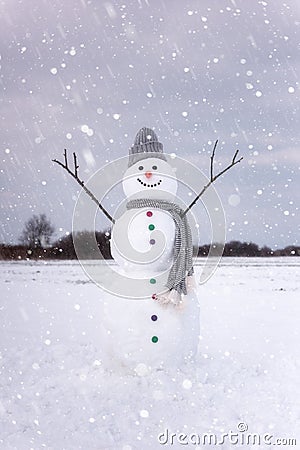 Cute smiling snowman in winter day, happy holidays concept Stock Photo