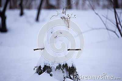 Cute snowwoman built on small evergreen tree seen in a public park during a blue hour winter morning Stock Photo