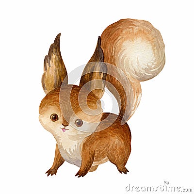 Cute squirrel. Hand painted watercolor illustration Cartoon Illustration