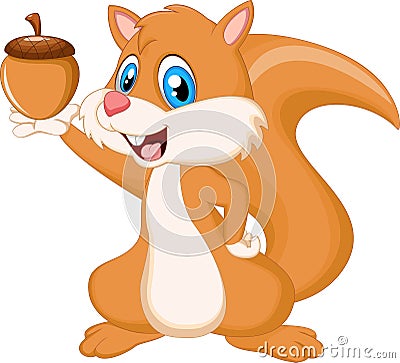 Cute squirrel holding nut Stock Photo