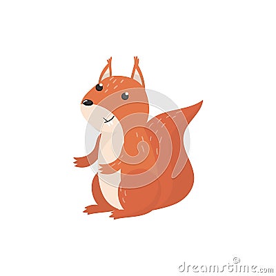 Cute squirrel woodland cartoon animal vector Illustration Vector Illustration