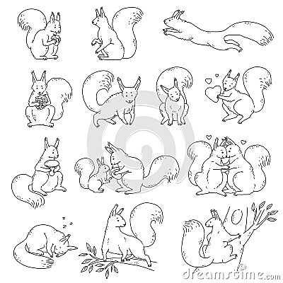 Cute squirrels with nuts and acorns. Set vector black white outline sketch cartoon isolated illustrations of animal Vector Illustration