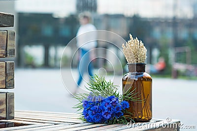 Cute still life of a bouquet of cornflowers and a glass jar with dried ears on the background of an urban landscape Stock Photo