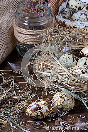 Cute still life with quail eggs. Easter still life Stock Photo