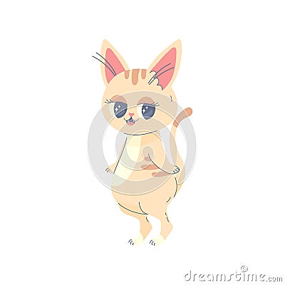 Cute striped lady kitty walking on two paws , kawaii comical Vector Illustration