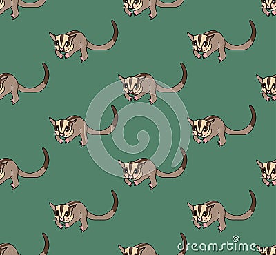 Cute Sugar Glider on Green Background. Vector Illustration. Vector Illustration