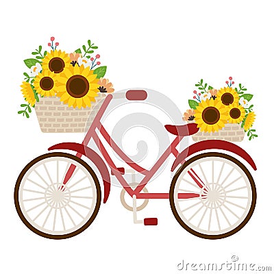 The cute sunflower in the basket on the red bicycle on the white background. The sunflower in the basket.The red bicycle. Vector Illustration