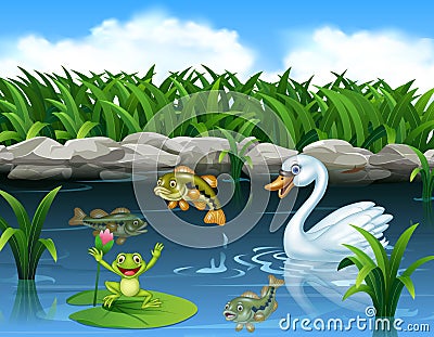 Cute swan swimming on the pond and frog Vector Illustration