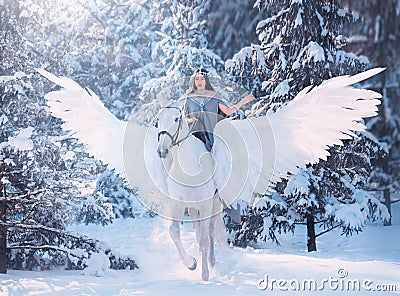 Cute sweet sad lady on horseback with gorgeous soft light wings, white pegasus in a snowy winter forest carries a dark Stock Photo