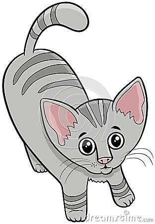 Cute tabby cat or kitten cartoon animal character Vector Illustration