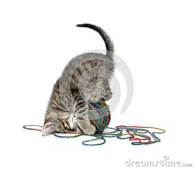 Cute tabby kitten with ball of yarn on white Stock Photo