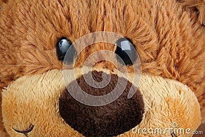 Cute teddy bear Stock Photo