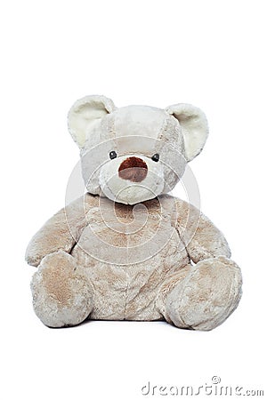 Cute Teddy bear over white Stock Photo