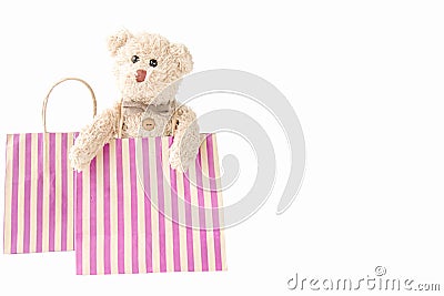 Cute teddy bear with a shopping bag in happy feel Stock Photo