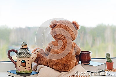 Cute teddy bear is sitting on the windowsill, looking out of the window Stock Photo