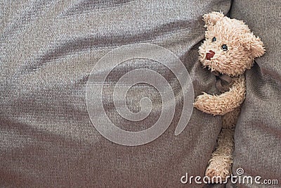 Cute teddy bears playing with fabric, Happy feel concept Stock Photo