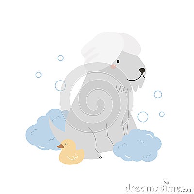 Cute terrier dog with a towel on a head, foam, bubbles and rubber duck. Vector illustration of a funny washing pet Vector Illustration