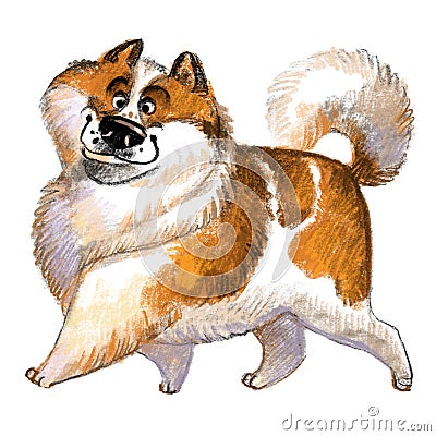 Cute Thai Bangkaew Dog character funny cartoon illustration Cartoon Illustration