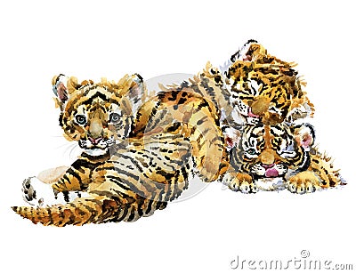 Cute tigers cub watercolor illustration. wild baby animals series Cartoon Illustration